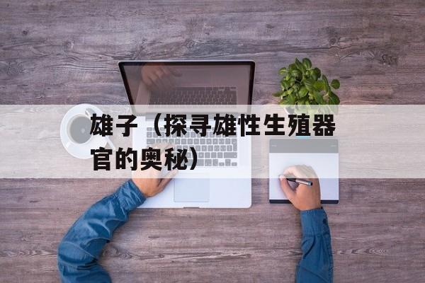 雄子（探寻雄性生殖器官的奥秘）-第1张图片-