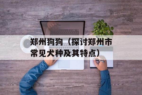郑州狗狗（探讨郑州市常见犬种及其特点）-第1张图片-