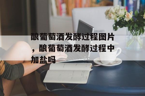 酿葡萄酒发酵过程图片，酿葡萄酒发酵过程中加盐吗-第1张图片-