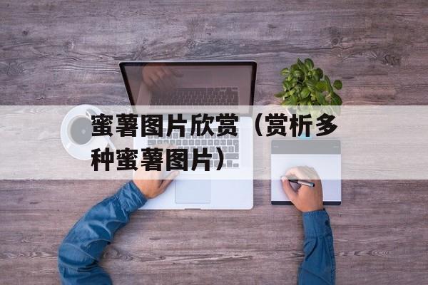 蜜薯图片欣赏（赏析多种蜜薯图片）-第1张图片-
