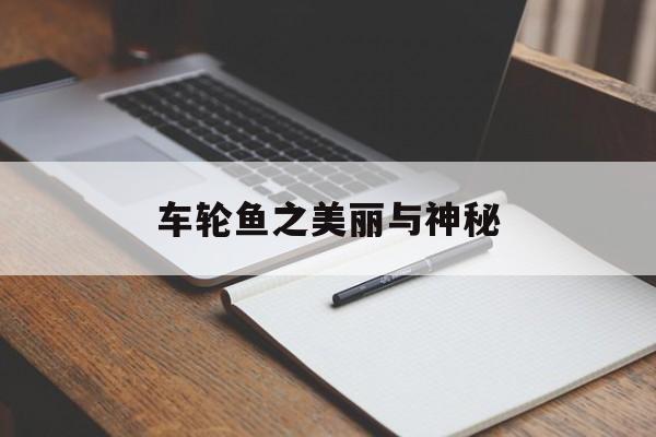 车轮鱼之美丽与神秘-第1张图片-