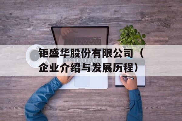 钜盛华股份有限公司（企业介绍与发展历程）-第1张图片-