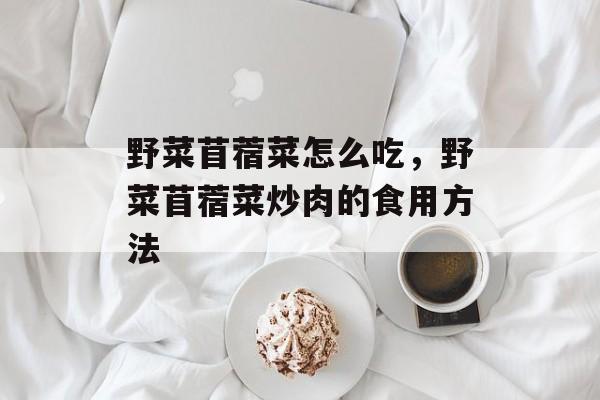野菜苜蓿菜怎么吃，野菜苜蓿菜炒肉的食用方法-第1张图片-