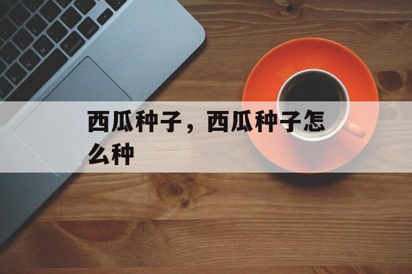 西瓜种子，西瓜种子怎么种-第1张图片-