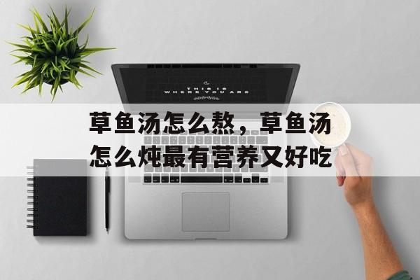 草鱼汤怎么熬，草鱼汤怎么炖最有营养又好吃-第1张图片-