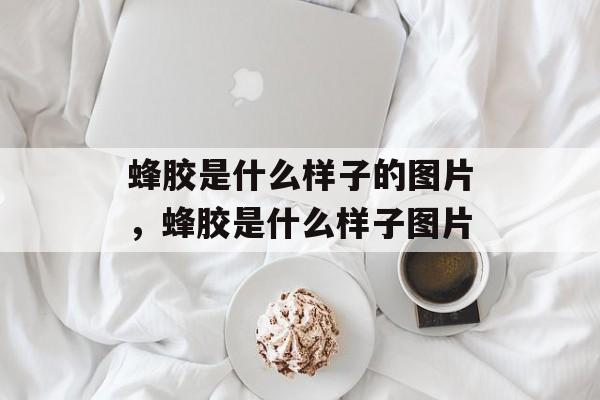 蜂胶是什么样子的图片，蜂胶是什么样子图片-第1张图片-