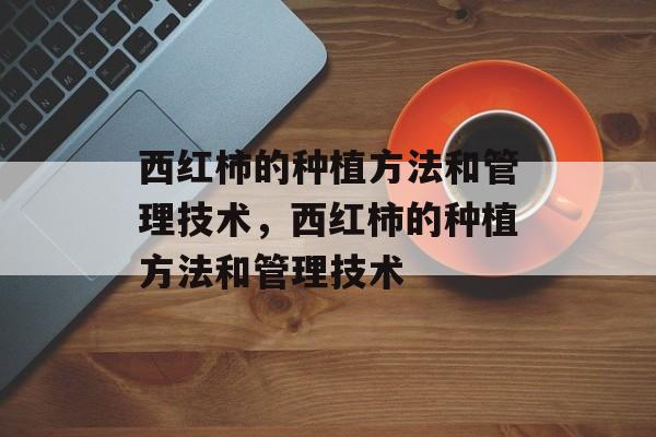 西红柿的种植方法和管理技术，西红柿的种植方法和管理技术-第1张图片-