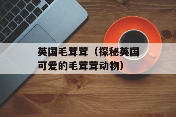 英国毛茸茸（探秘英国可爱的毛茸茸动物）-第1张图片-