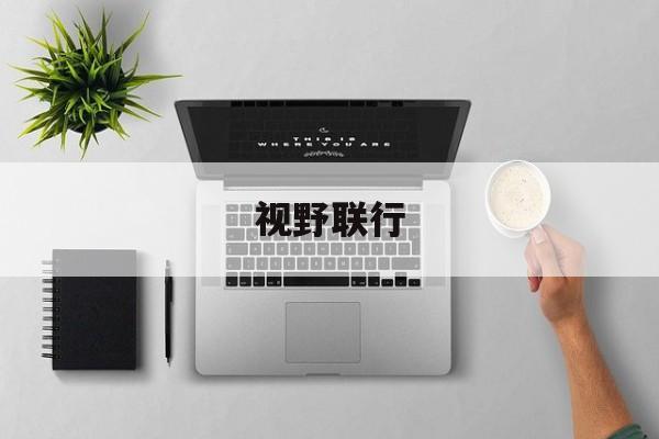 视野联行-第1张图片-
