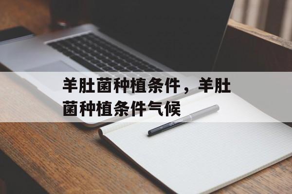 羊肚菌种植条件，羊肚菌种植条件气候-第1张图片-