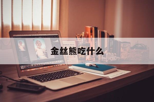 金丝熊吃什么-第1张图片-