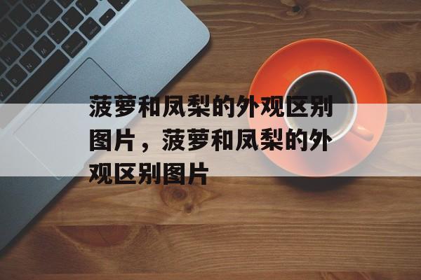 菠萝和凤梨的外观区别图片，菠萝和凤梨的外观区别图片-第1张图片-