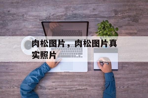 肉松图片，肉松图片真实照片-第1张图片-