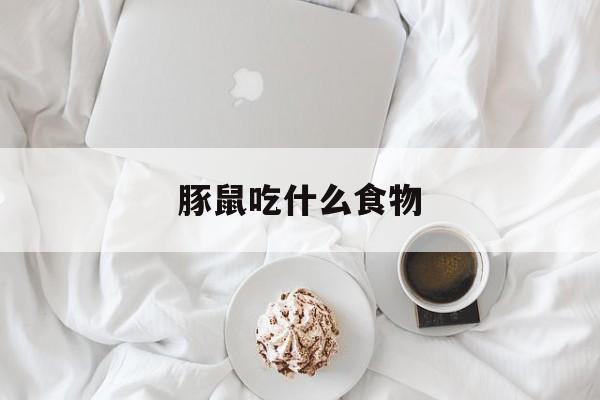 豚鼠吃什么食物-第1张图片-