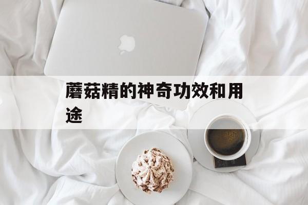 蘑菇精的神奇功效和用途-第1张图片-