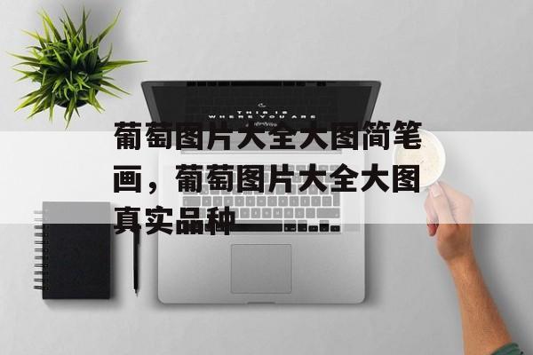 葡萄图片大全大图简笔画，葡萄图片大全大图真实品种-第1张图片-