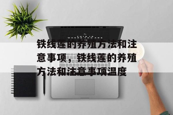 铁线莲的养殖方法和注意事项，铁线莲的养殖方法和注意事项温度-第1张图片-