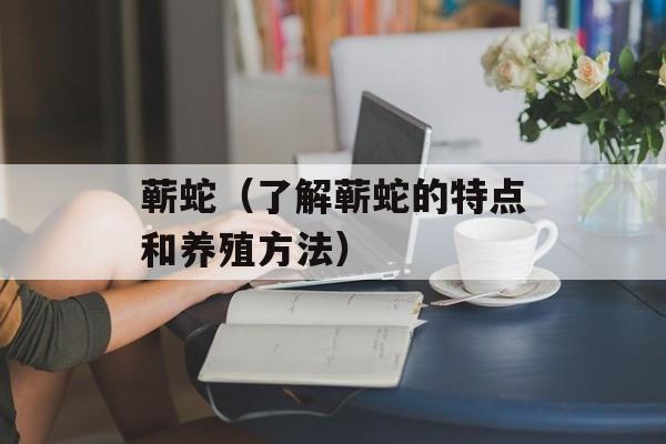 蕲蛇（了解蕲蛇的特点和养殖方法）-第1张图片-