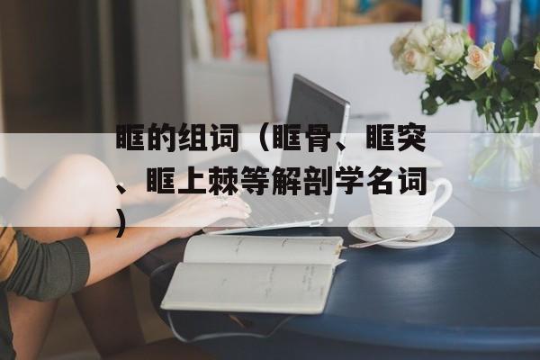 眶的组词（眶骨、眶突、眶上棘等解剖学名词）-第1张图片-
