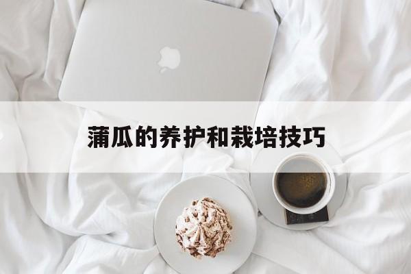 蒲瓜的养护和栽培技巧-第1张图片-