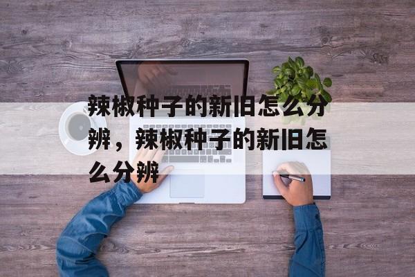 辣椒种子的新旧怎么分辨，辣椒种子的新旧怎么分辨-第1张图片-