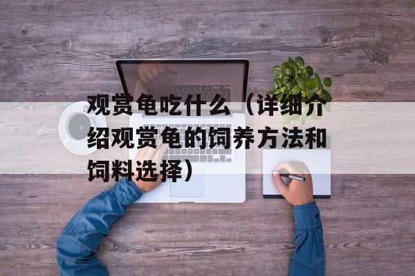 观赏龟吃什么（详细介绍观赏龟的饲养方法和饲料选择）-第1张图片-