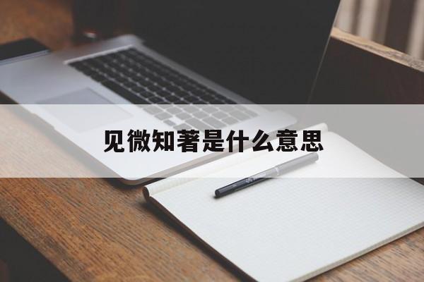 见微知著是什么意思-第1张图片-