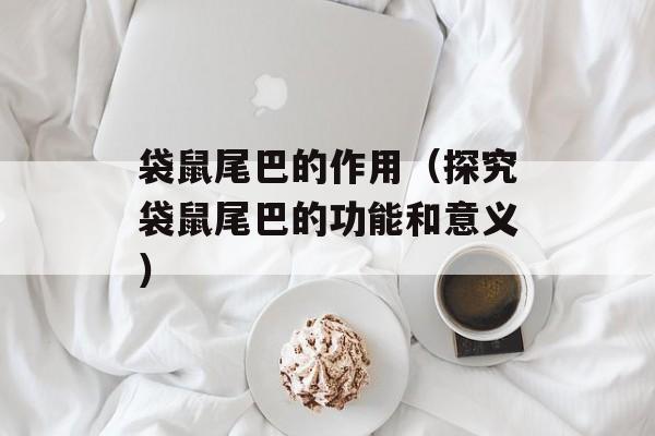 袋鼠尾巴的作用（探究袋鼠尾巴的功能和意义）-第1张图片-