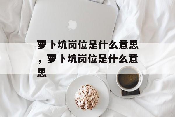 萝卜坑岗位是什么意思，萝卜坑岗位是什么意思-第1张图片-