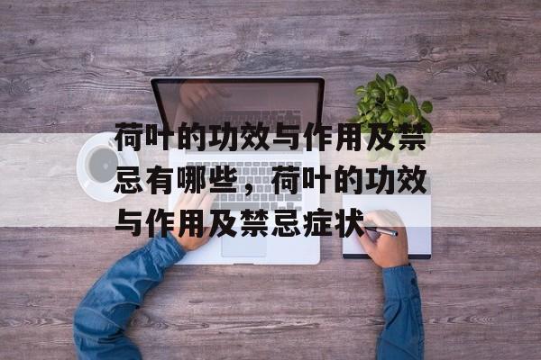 荷叶的功效与作用及禁忌有哪些，荷叶的功效与作用及禁忌症状-第1张图片-