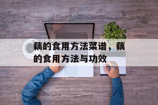 藕的食用方法菜谱，藕的食用方法与功效-第1张图片-