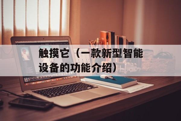 触摸它（一款新型智能设备的功能介绍）-第1张图片-