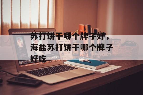 苏打饼干哪个牌子好，海盐苏打饼干哪个牌子好吃-第1张图片-