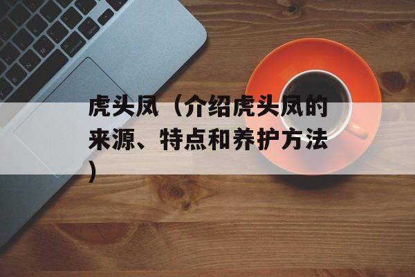 虎头凤（介绍虎头凤的来源、特点和养护方法）-第1张图片-