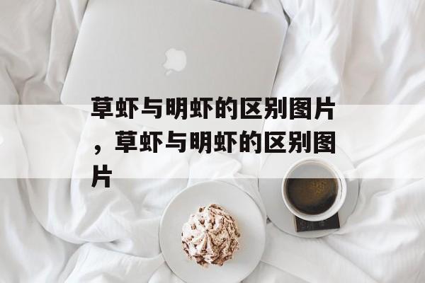 草虾与明虾的区别图片，草虾与明虾的区别图片-第1张图片-