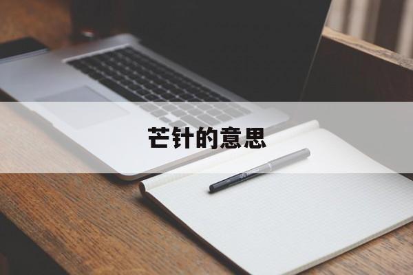 芒针的意思-第1张图片-