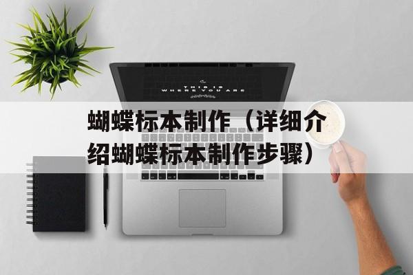 蝴蝶标本制作（详细介绍蝴蝶标本制作步骤）-第1张图片-