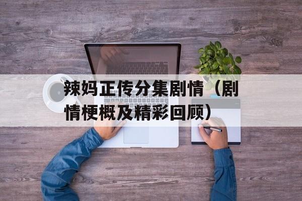 辣妈正传分集剧情（剧情梗概及精彩回顾）-第1张图片-