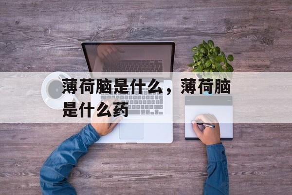 薄荷脑是什么，薄荷脑是什么药-第1张图片-
