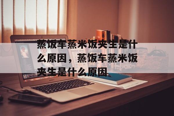 蒸饭车蒸米饭夹生是什么原因，蒸饭车蒸米饭夹生是什么原因-第1张图片-