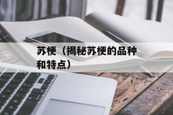 苏梗（揭秘苏梗的品种和特点）-第1张图片-