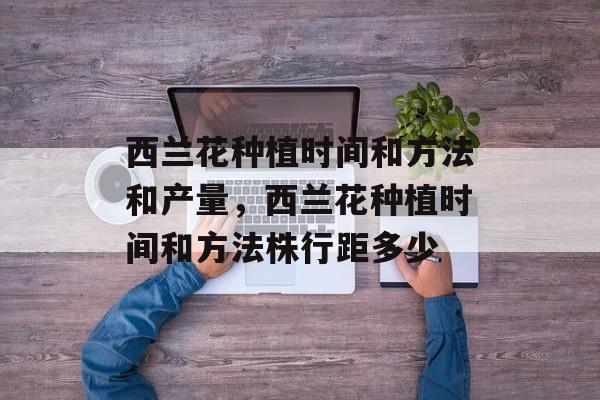 西兰花种植时间和方法和产量，西兰花种植时间和方法株行距多少-第1张图片-
