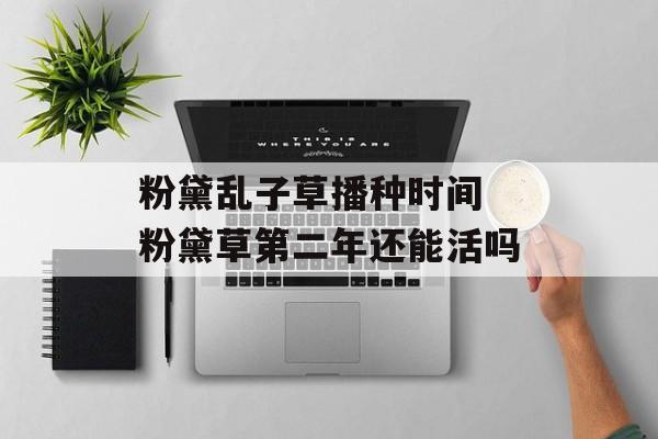 粉黛乱子草播种时间 粉黛草第二年还能活吗-第1张图片-