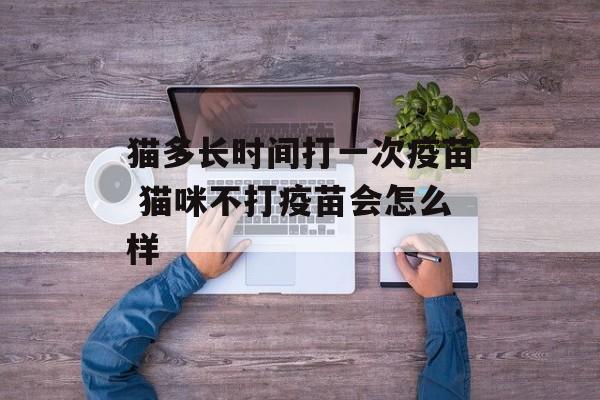 猫多长时间打一次疫苗 猫咪不打疫苗会怎么样-第1张图片-