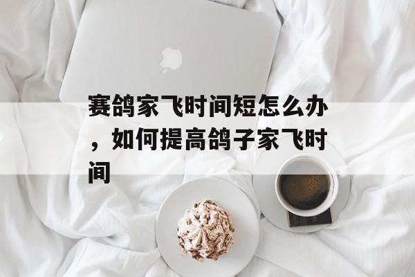 赛鸽家飞时间短怎么办，如何提高鸽子家飞时间-第1张图片-