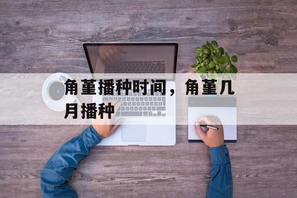 角堇播种时间，角堇几月播种-第1张图片-