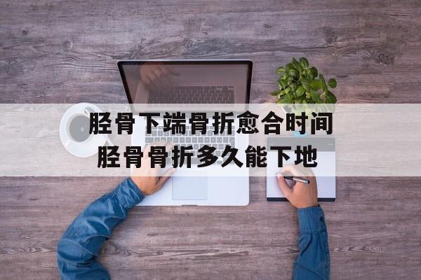 胫骨下端骨折愈合时间 胫骨骨折多久能下地-第1张图片-