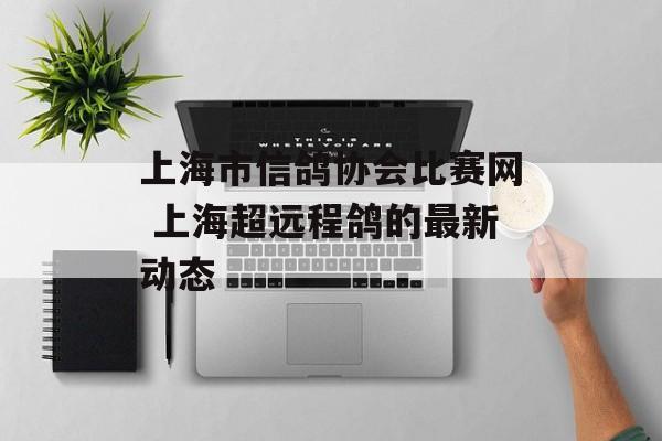 上海市信鸽协会比赛网 上海超远程鸽的最新动态-第1张图片-