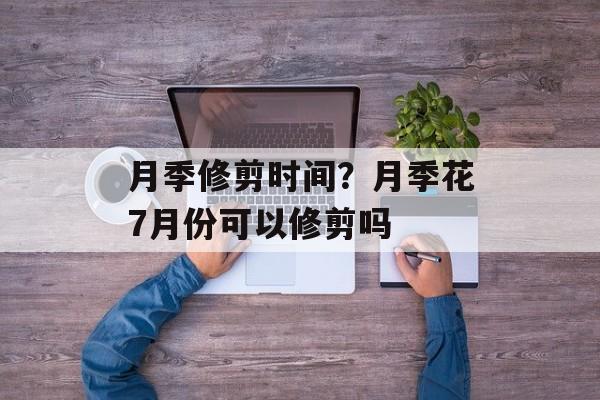 月季修剪时间？月季花7月份可以修剪吗-第1张图片-
