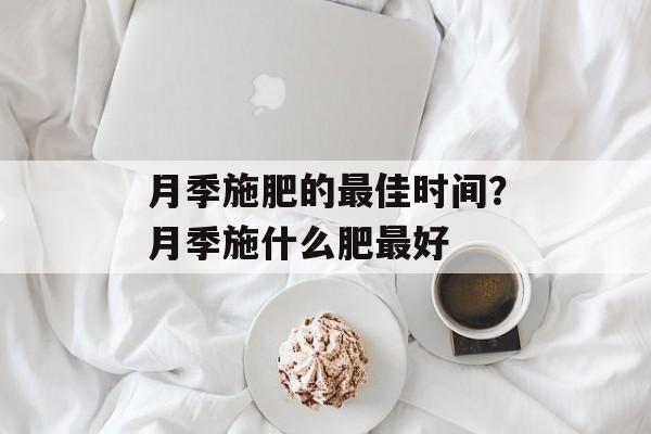 月季施肥的最佳时间？月季施什么肥最好-第1张图片-